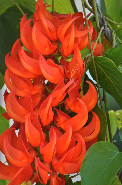 22 - Imagens do CEU.jpg